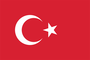 Türkçe